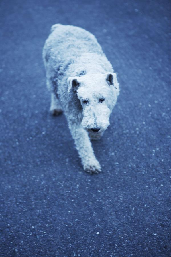 无码视频在线观看-最新中文字幕在线观看2019-亚洲中文无码av永久伊人-Ultra HD高清无删减