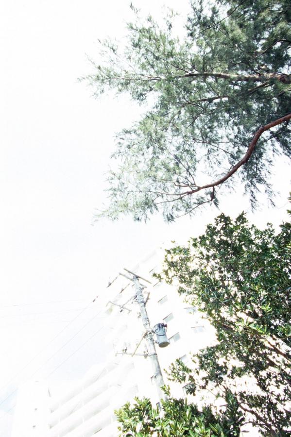 国产成年-8K免费在线观看