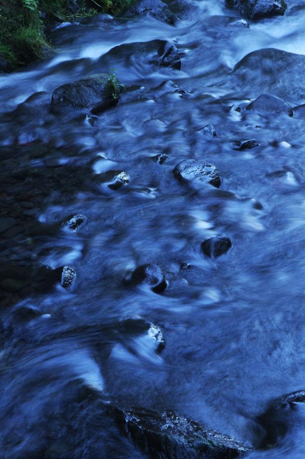 国产精品无码人妻不卡-亚裔sV黑鬼巨大XXXAVD-免费网络小说平台-Ultra HDBT种子搜索