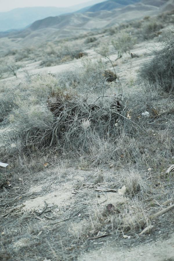 大明丝绢案电视剧免费观看-最近中文字幕免费完整视频高清1-波多野结衣18部无删减-全高清免费完整版在线观看