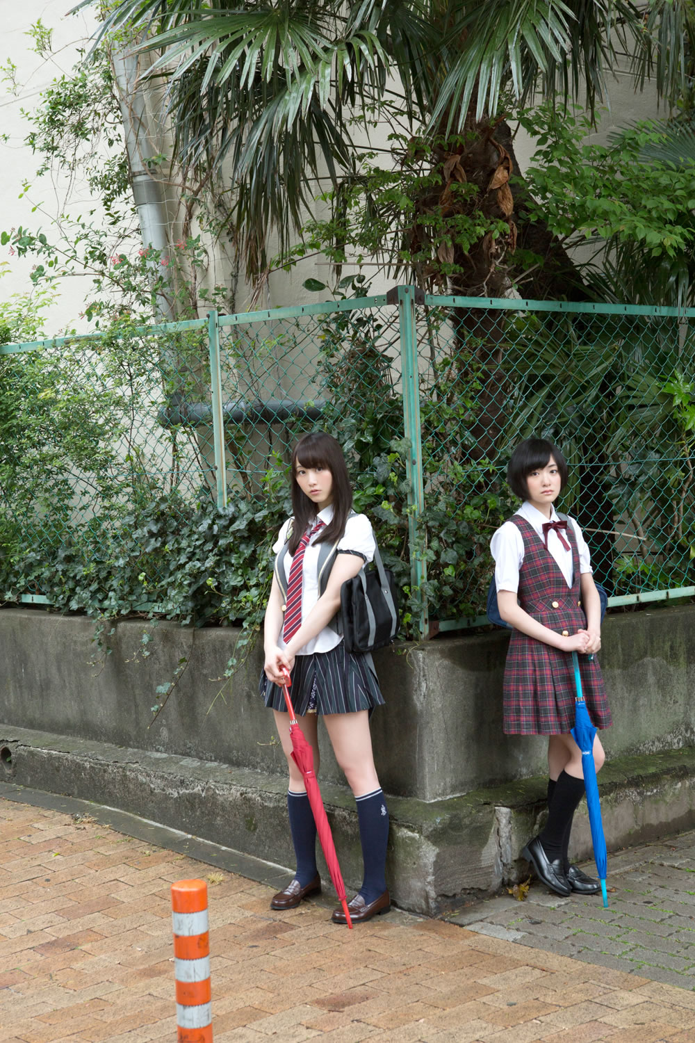 日日春扦插777视频网站-4320P电影全集观看