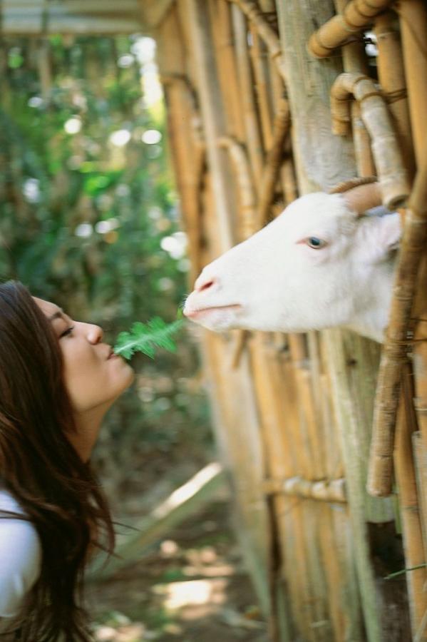 欧美大b-Ultra HD在线观看