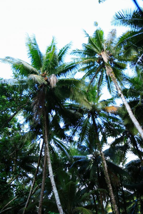 国产欧美激情视频久久VV-精品熟水少妇av免费久久-全高清中文字幕