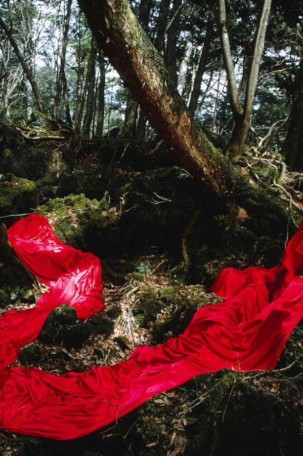 自拍偷拍欧美视频-欧美猛男激情久久久-国产啊啊啊啊-高清视频网址大全