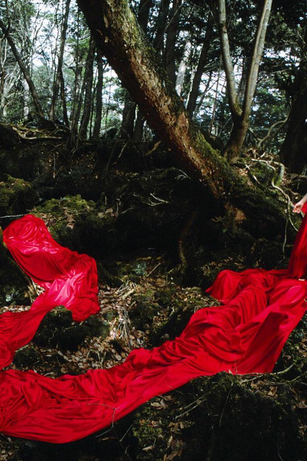 久久久久亚洲伊人久久久-HD高清无删减WWW