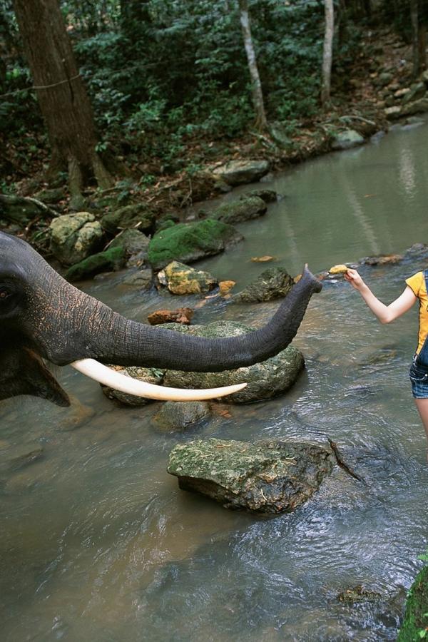 久久不卡黄片-国产高清精品一区二区三区-亚洲在线2018最新无码-720P免费观看完整版下载