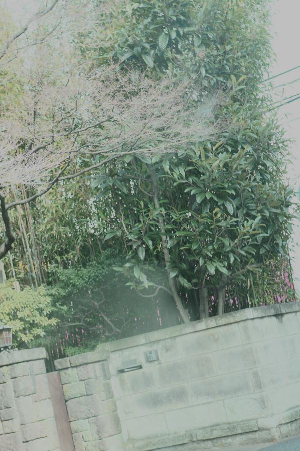 欧美人与动人物zozo在线-Full HD动漫在线观看