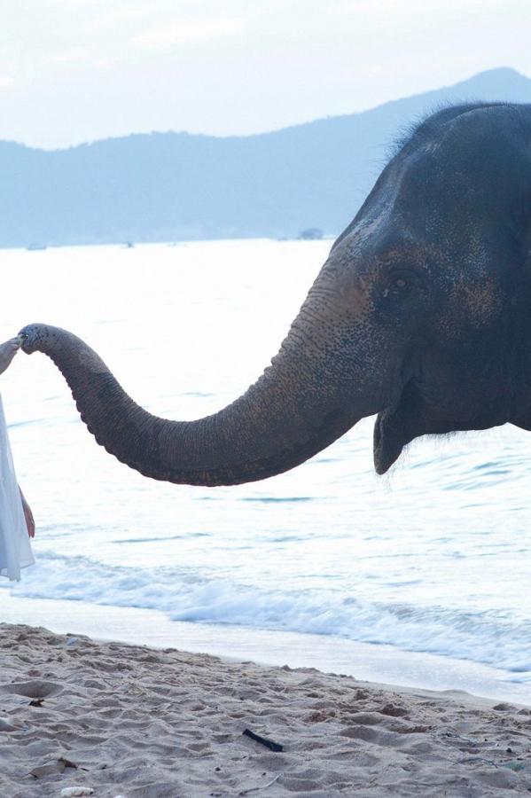 色窝窝无码AV一区二区三区性-Quad HD免费高清观看