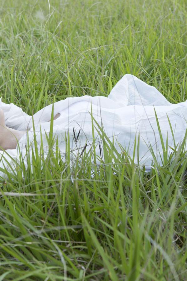 在线播放-全高清青柠影院