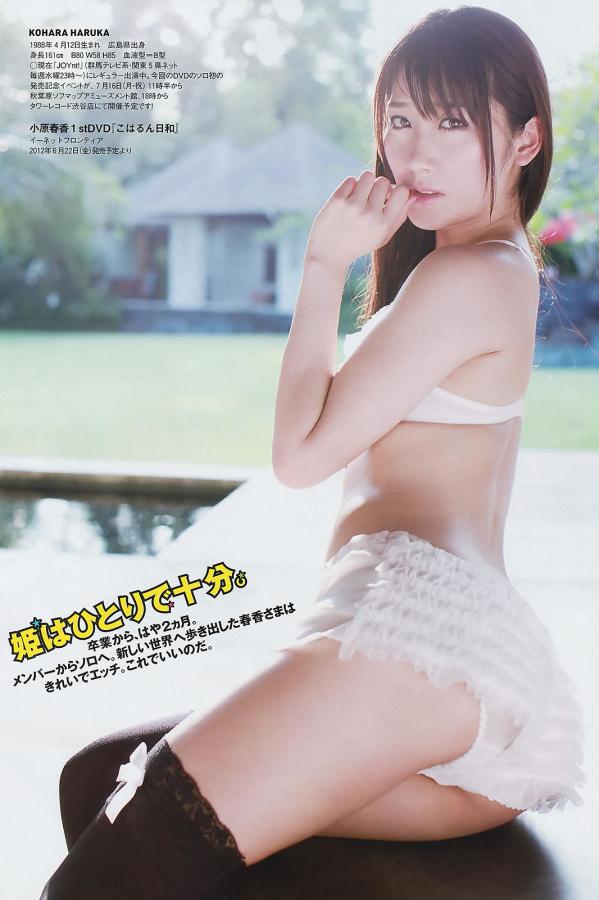 中国男同志网-1440P手机在线看片