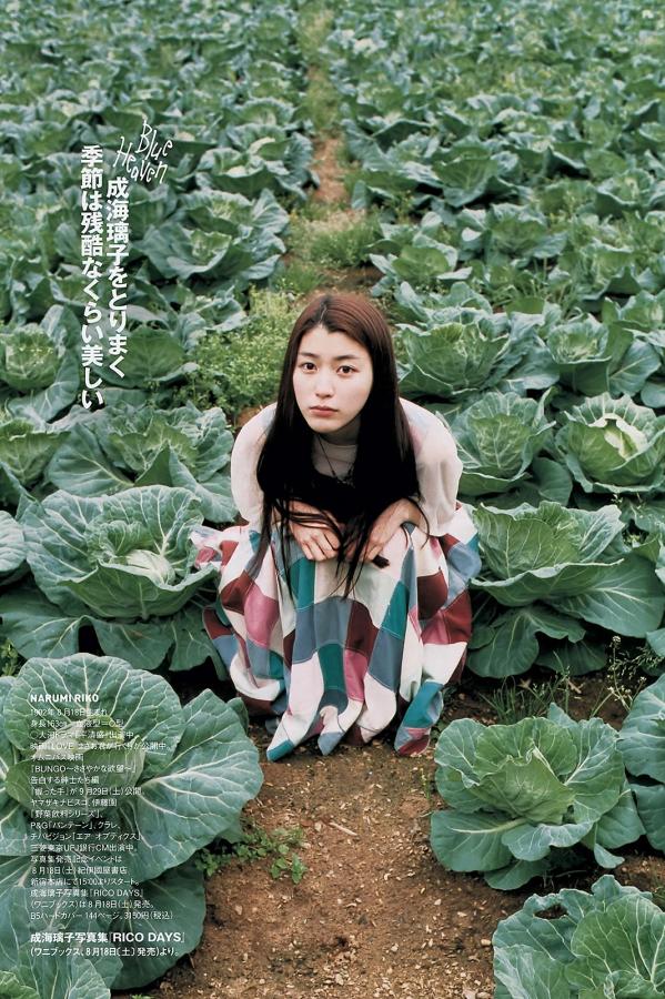 一本无码在线中文字幕DVD-8K国语版高清