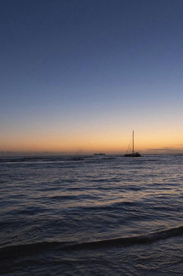 欧美人与动性行为视频-1440P视频网址大全