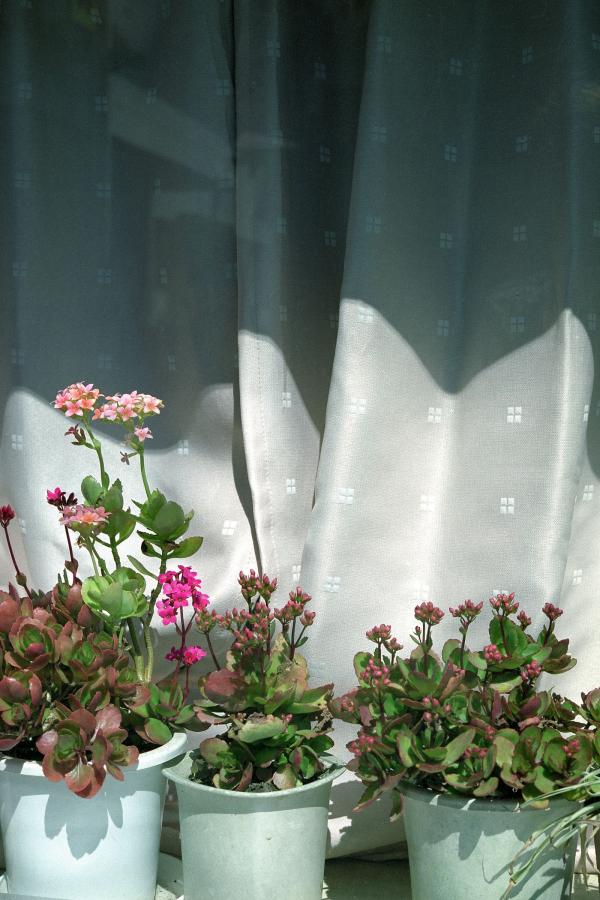 欧美一级AA片AⅤ片-2160P在线观看