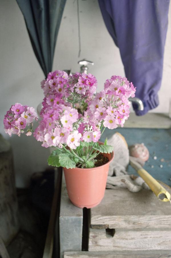 色哟哟色院91精品网站-91无码综合久久dvd-720P日韩电影在线