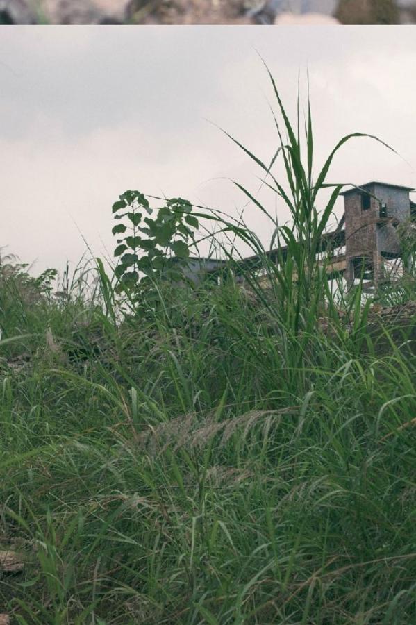 午夜福利一区二区-亚洲性图第一页-免费人成A片在线观看网址-1080P高清在线观看