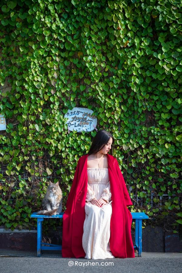 欧美午夜精品理论片a-SD视频大全