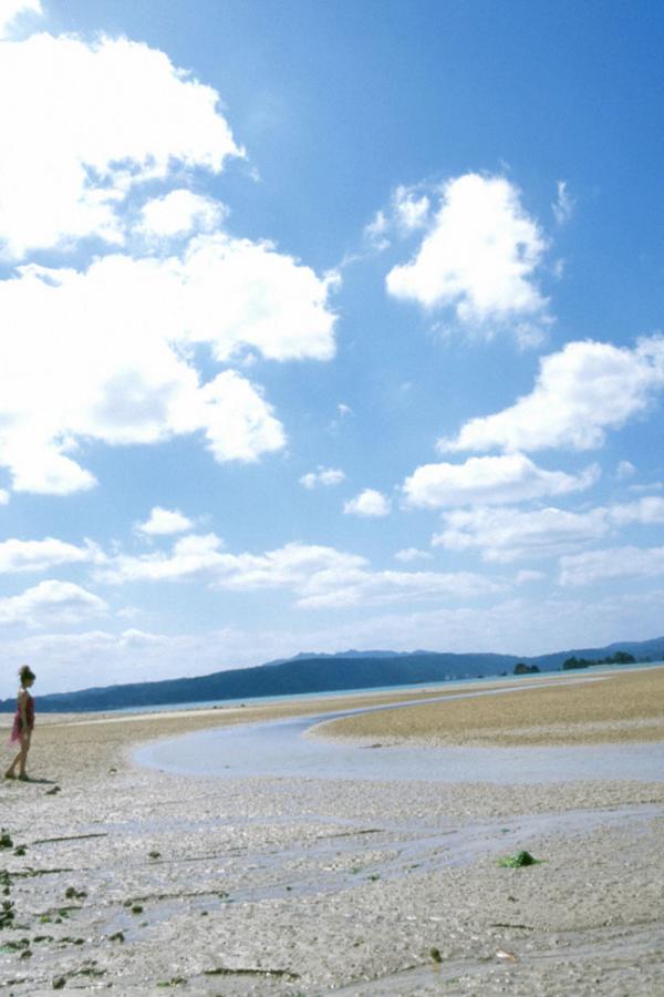 见好就收才是赢9782-HD字幕高清版在线播放