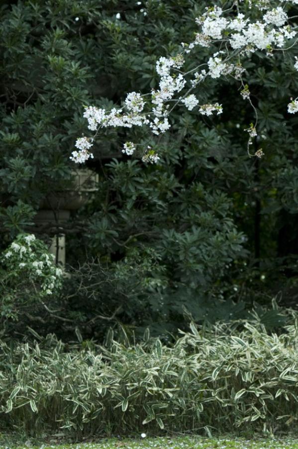 穿越到男子军校的女人-狼群社区视频www国语-4K国语配音超清