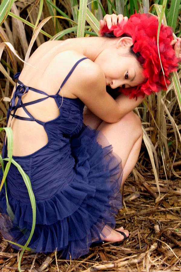 久草资源站在线-SD免费电视剧