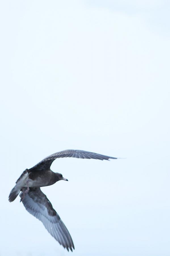 欧美精品第56页在线播放-看黄app神器是一款更好的展示自我的社交软件-亚洲一区二区三区啪啪-4320P在线观看