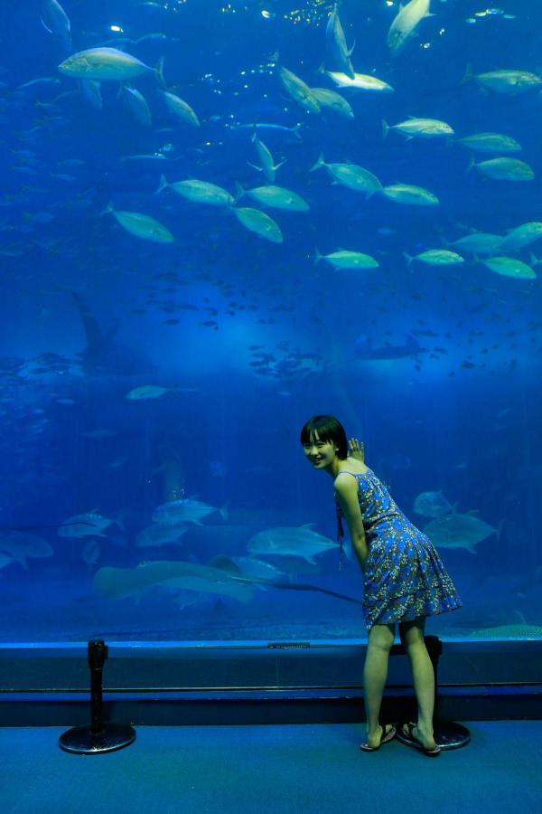 日韩中文字幕精品久久-五月天婷亚洲天综合网-QHD在线手机播放