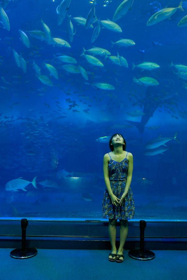 欧美男男激情VIDEOS高清-全高清字幕高清版在线观看