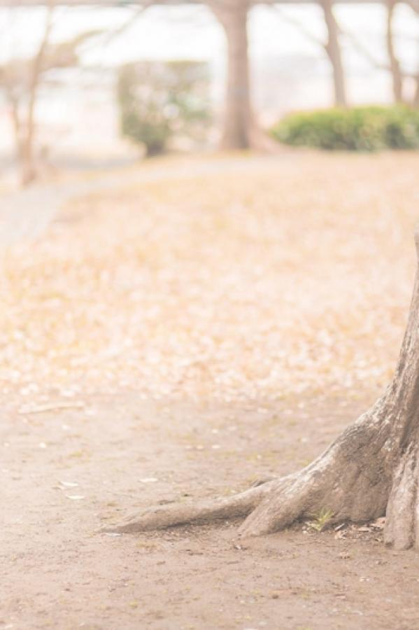 7777788888免费管家婆-精品无码久久久久久久久曰韩-SD日韩成人在线