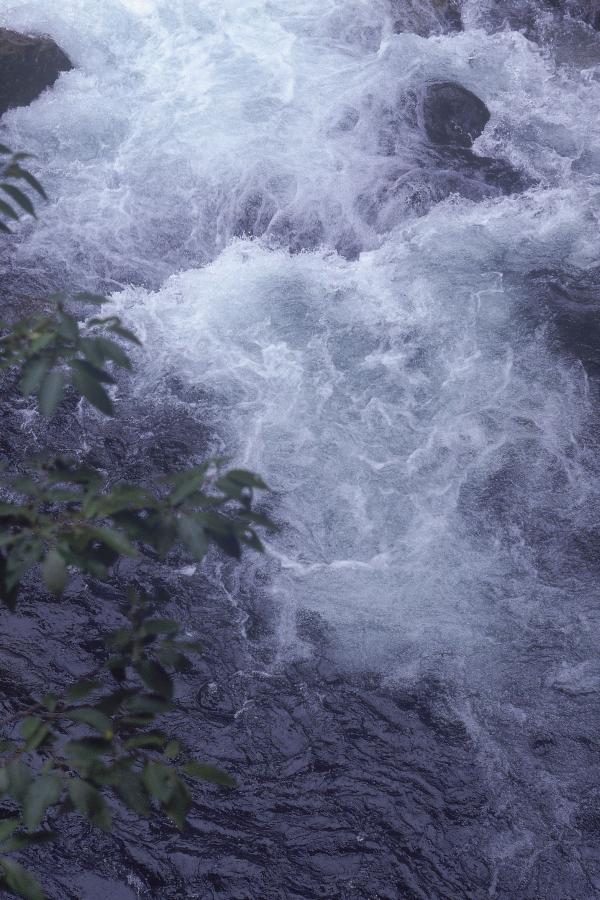 99久久无色码人妻蜜柚w-Ultra HD成事在人免费观看