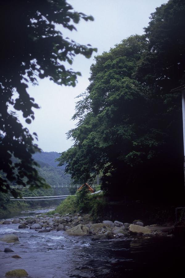 日本三级无码18???深田视频-QHD高清视频播放