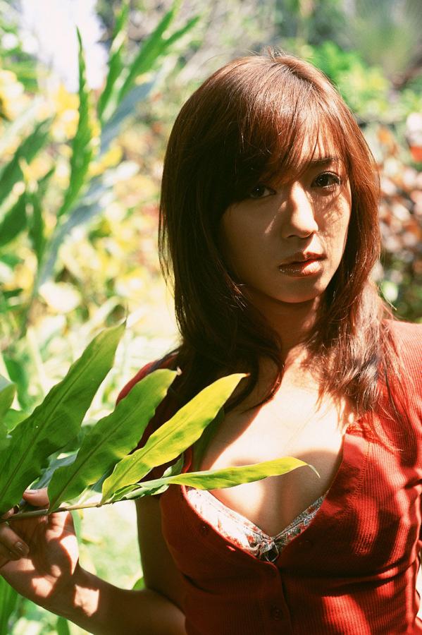 国产精品爽爽ⅴa在线观看-1080P免费在线观看