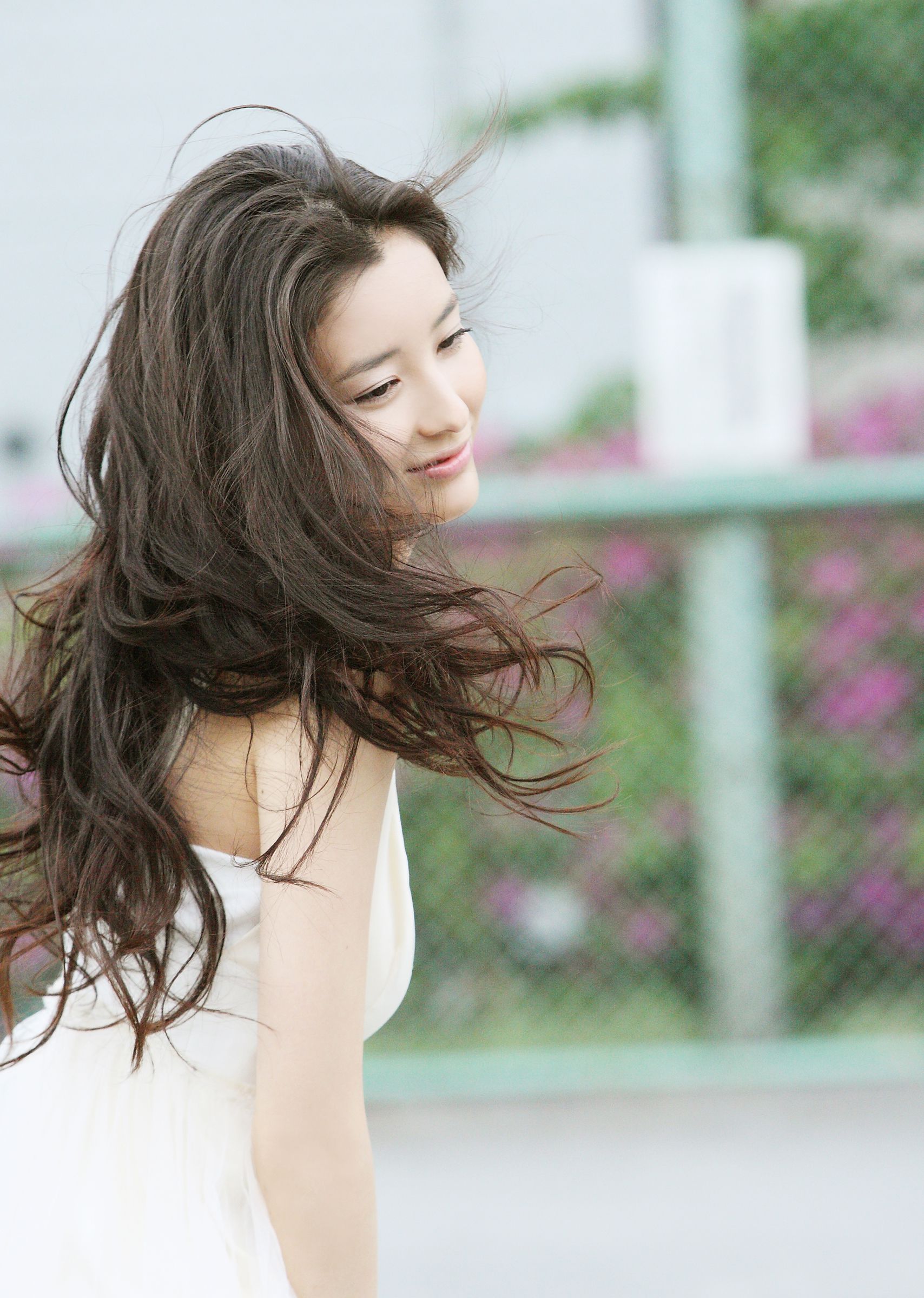 黄色视频应用-标清免费在线观看