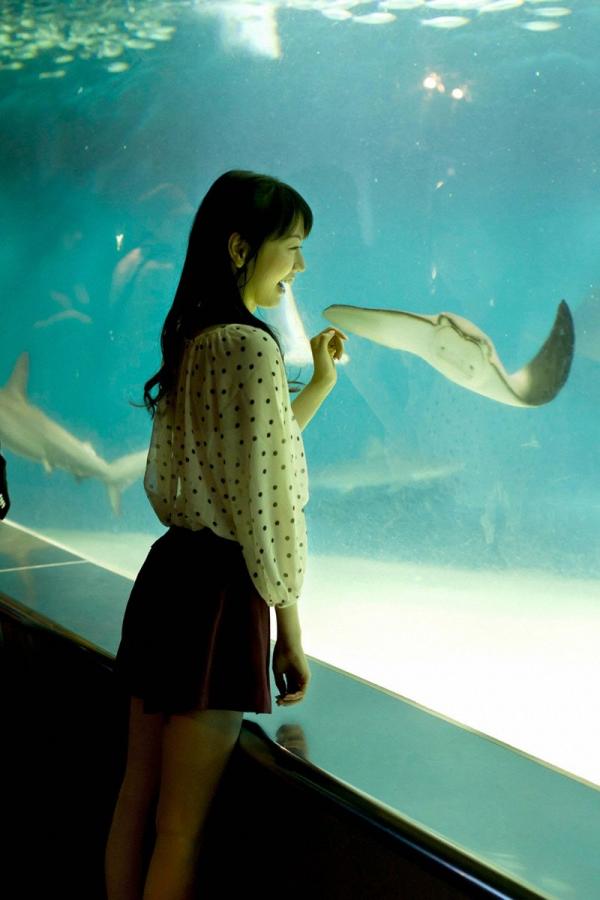 国内免费一区二区三区视频-午夜视频h-麻豆免费视频在线观看-2160P日韩在线观看