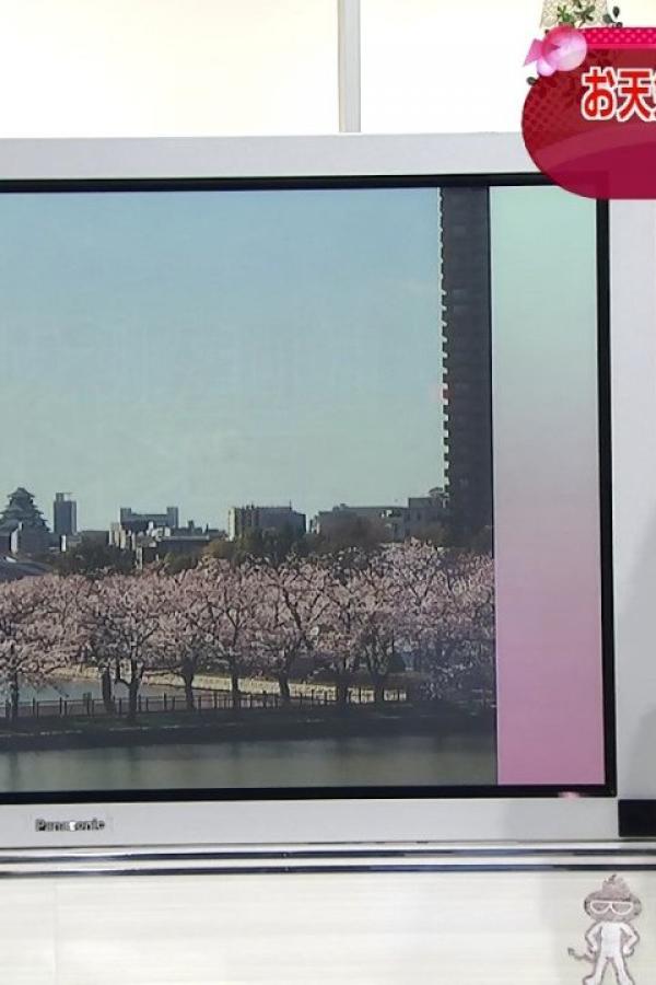 脱内衣一件都不留视频-Quad HD迅雷极速版下载