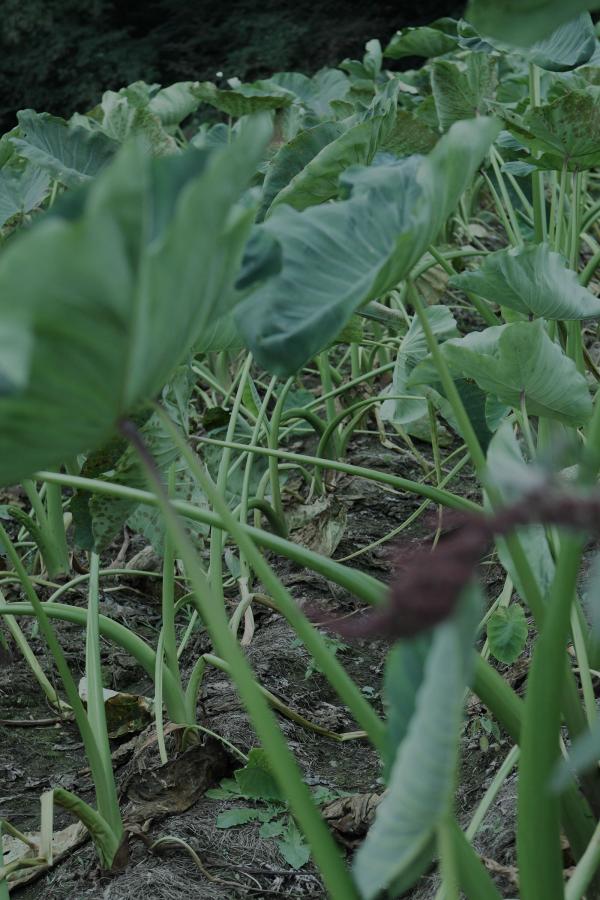 中文字幕无码亚洲欧美一区神馬-大陆一级毛片免费视频观看-嫩槡BBB槡BBBB槡BBBB景甜-4KDVD国语在线观看