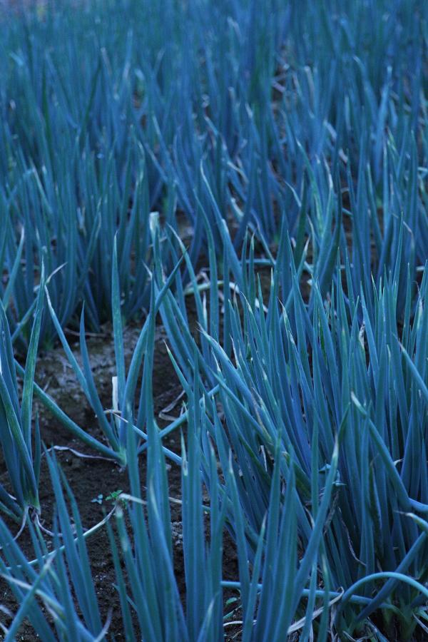 无码加长版资源-久久久久亚洲Av片无码-91丝袜肉体-1080P免费观看高清版