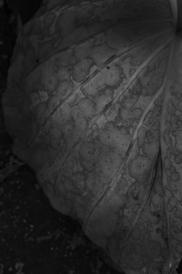 杨思敏版金梅瓶1一5集种子下载-久久人妻88综合-4320P免费观看超清