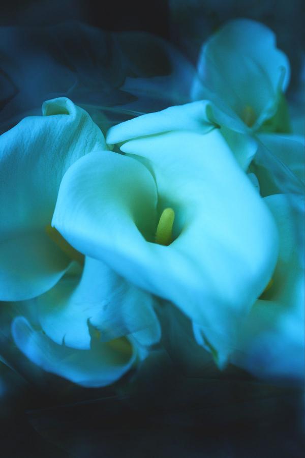 一级做a爰片久久毛片**-2160P在线视频网