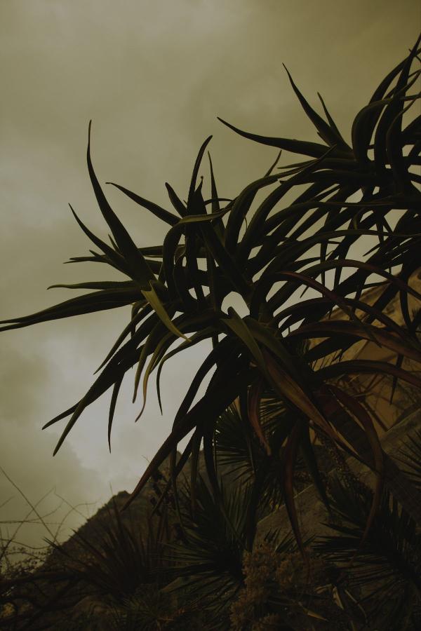 久久蜜臀av浪潮AV-4K韩国电影在线