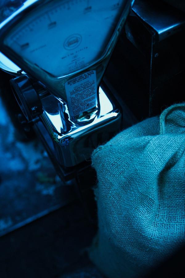 亚洲国产精彩中文乱码色欲AV-日韩美女免费直播-精品国产免费人成电影在线看-高清视频大全