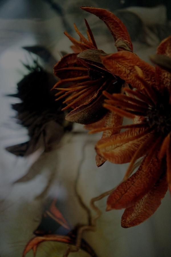 精品国产一区二区三区无码-国内精品电影在线观看-69精品人人人人-Ultra HD在线完整观看