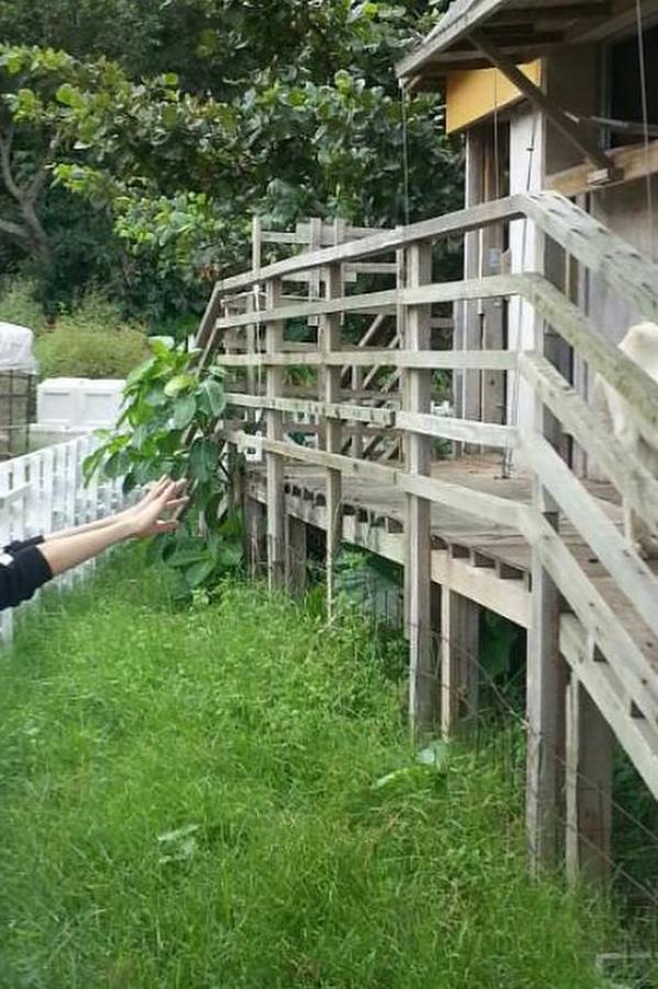 无码精品国产dvd在线观看久9-黄色三级视频在线播放-1080P迅雷手机免费观看