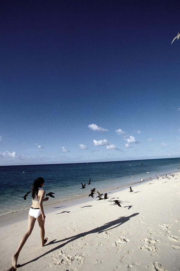 国产欧美在线视频-丝袜脚摩擦他的命根-欧美人体做爰大胆hd视频-HD日韩电影在线