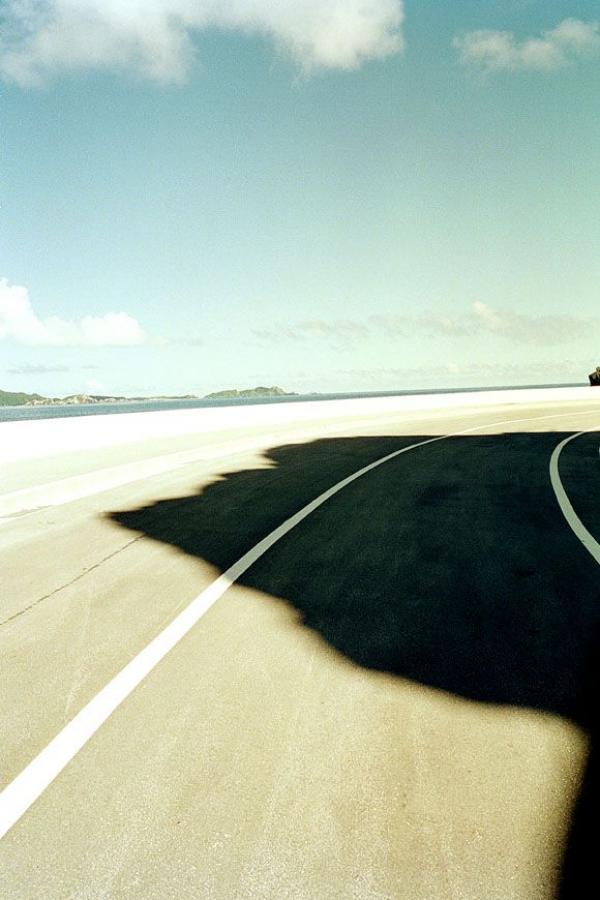 亚洲天堂在线观看免费视频-特黄特色大片免费视频播放器-免费黄色成年网站-1080P中文版全集