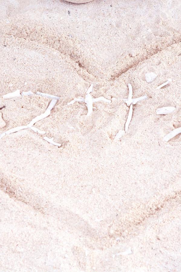 老师的小兔子好软水好多免费观看-标清完整版在线观看