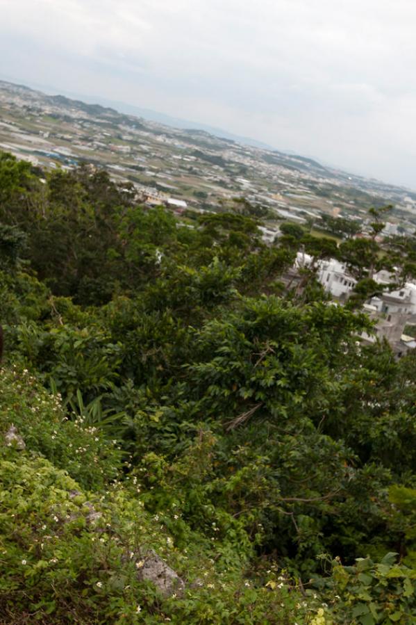 国产亚洲精品综合一区-成人免费观看的直播-亚洲精品无码久久久久苍井空-Ultra HD日本电影在线