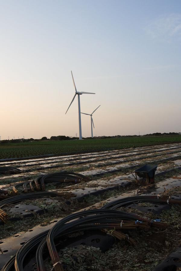 久久精品欧美v日韩v国产v-灯草和尚在线观看-国产精品无码一区二区三区免费看-2160P日本电影在线