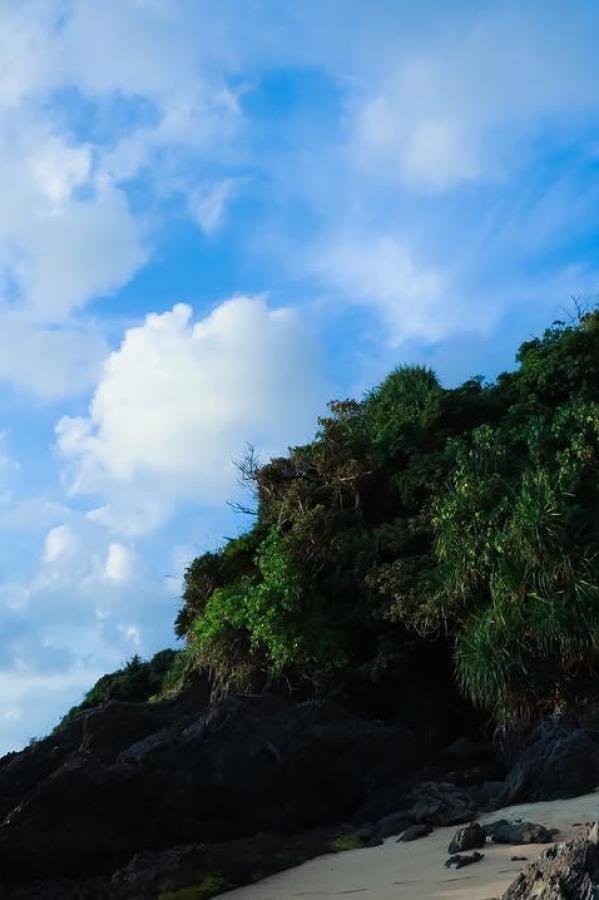 农村妇女三级在野外-又圆又肥又翘的丰臀大屁股-4K欧美成人在线