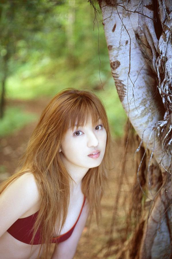 斯巴达克斯血与沙第二季-720P在线观看