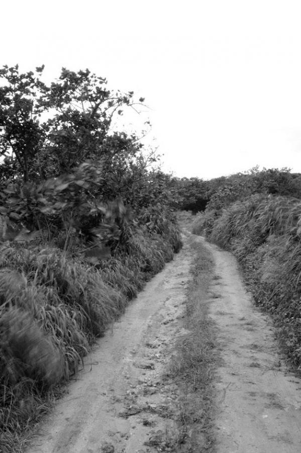 色情乱婬色偷偷色五月-Ultra HD西瓜视频免费观看