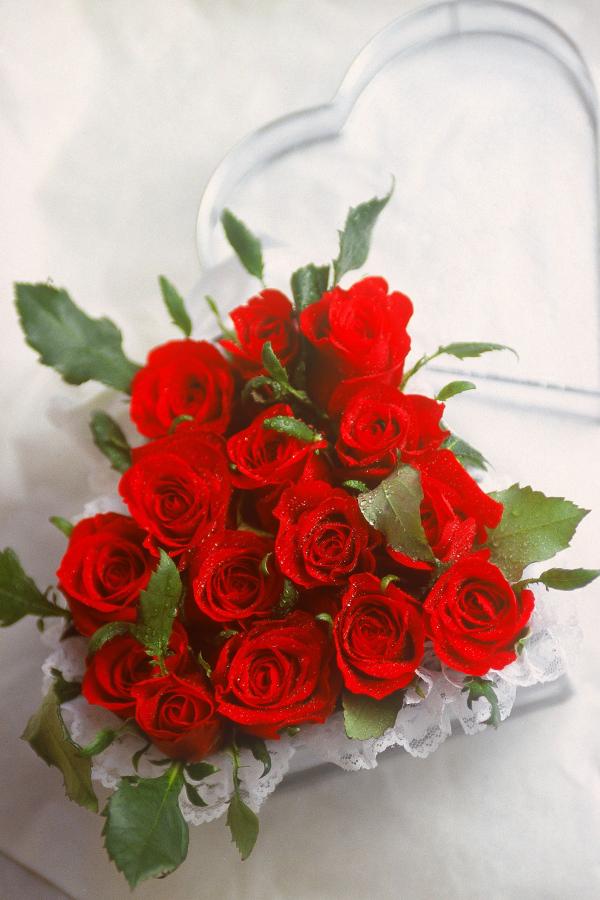 高清试看5分钟花絮-日韩av毛片无码免费-720P免费国语在线观看